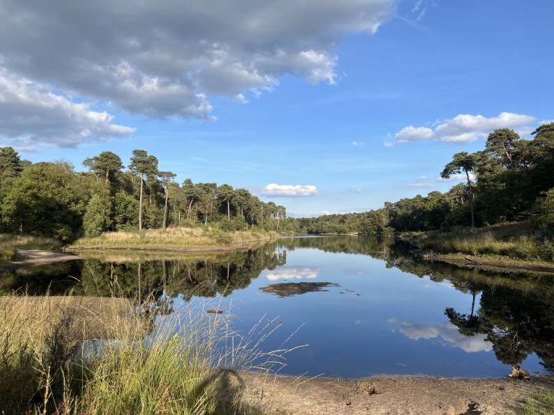 Natuur Oisterwijk